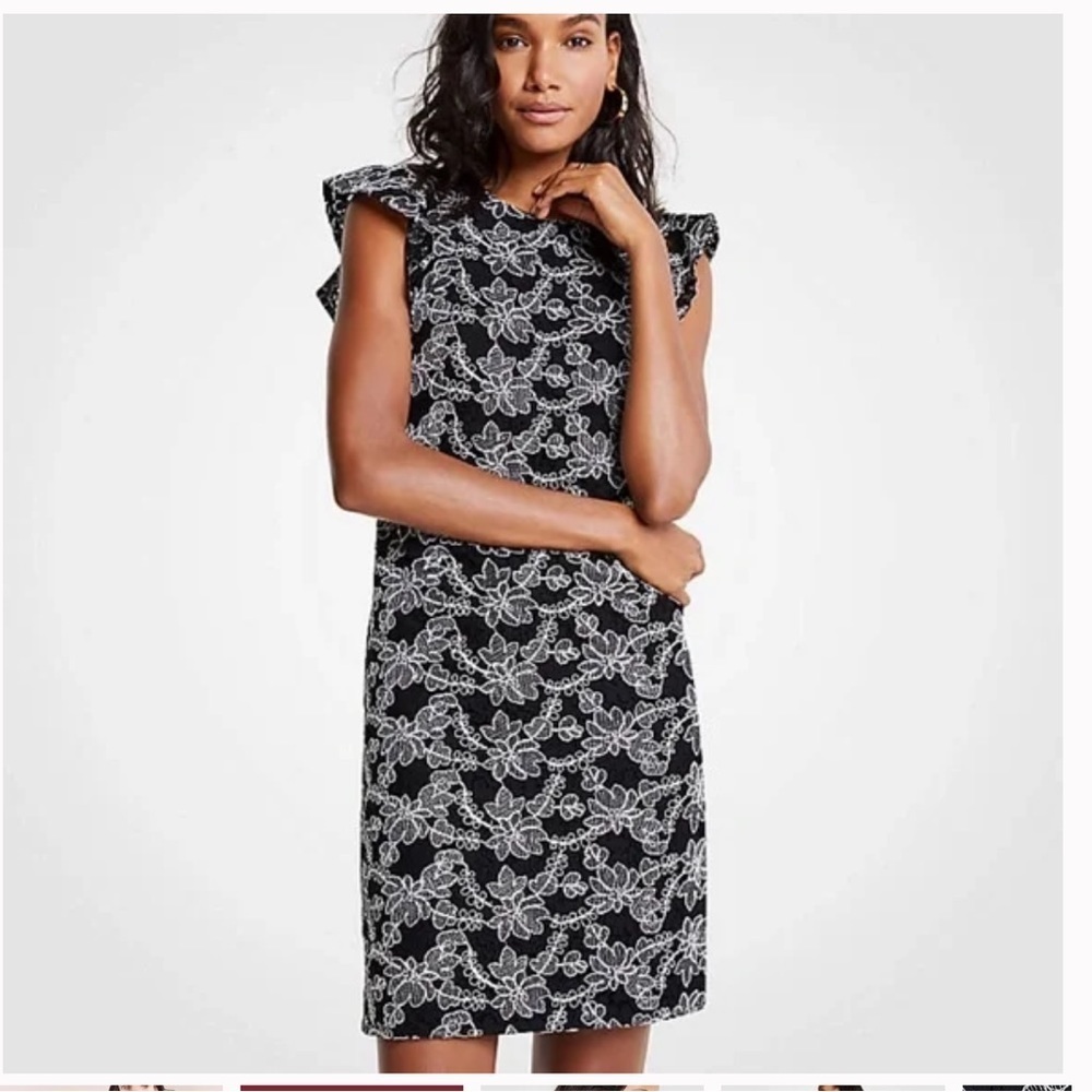 ANN TAYLOR Lace black and white shift dress Ruffle / Flutter sleeve sz 10
